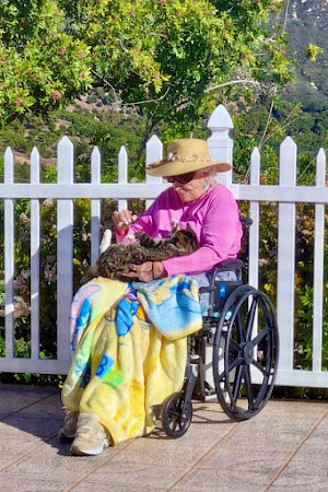 elderly woman in a wheelchair